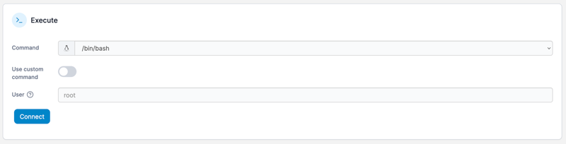 Access a container's console | Portainer Documentation