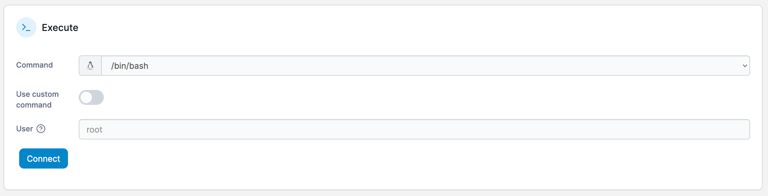 Access a container's console | Portainer Documentation